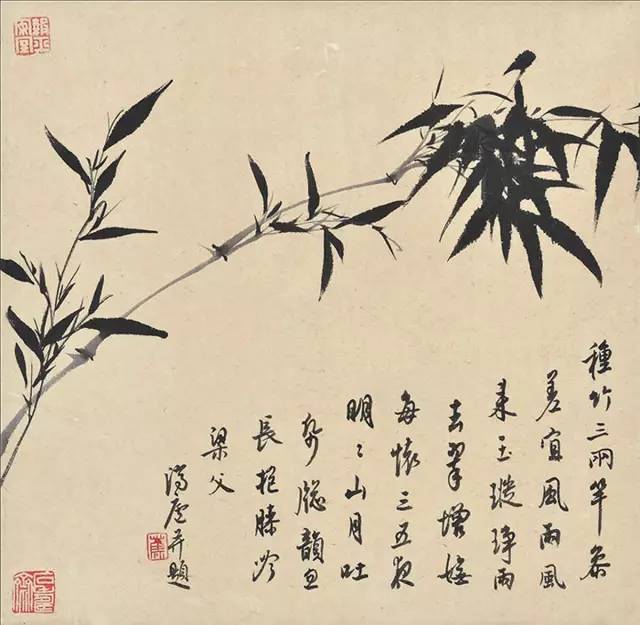 上下田是什么字_田比上下结构_上下结构下面是田的字
