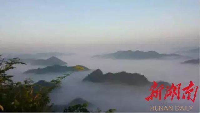 上下结构下面是田的字_上下结构田字旁的字有什么_田比上下结构