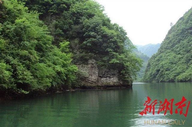 上下结构田字旁的字有什么_田比上下结构_上下结构下面是田的字