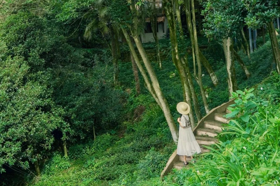 澹_澹春山_澹的意思
