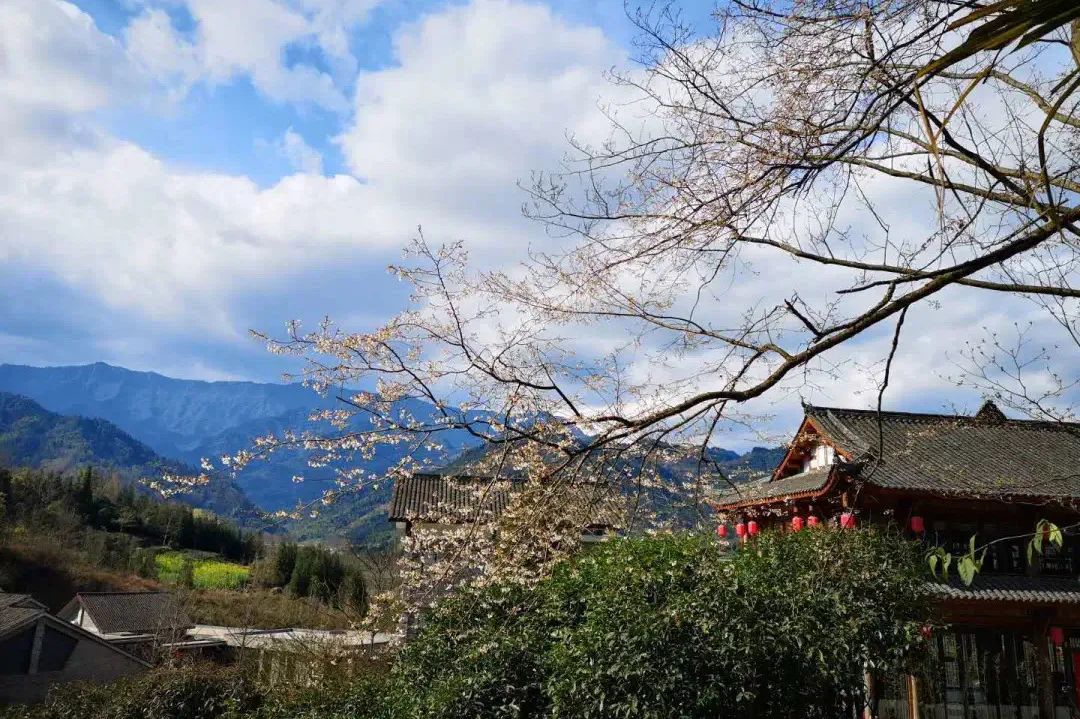 澹春山_澹_澹的意思