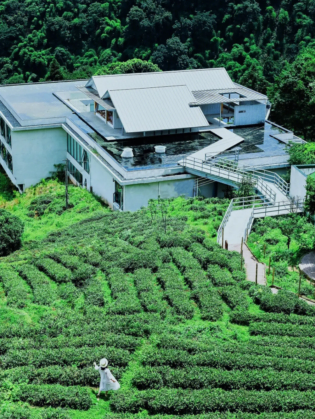 澹的意思_澹春山_澹