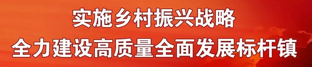 澹_澹的意思_澹怎么读