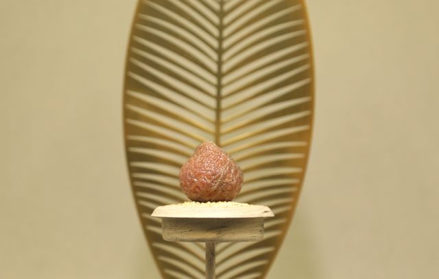 澹的意思_澹春山_澹