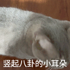 小宝寻花视频_小宝寻花视频_小宝寻花视频下载