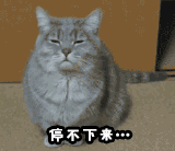 儿繁体_繁体儿子_繁体儿字笔顺