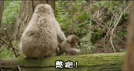 繁体儿子_繁体儿字笔顺_儿繁体