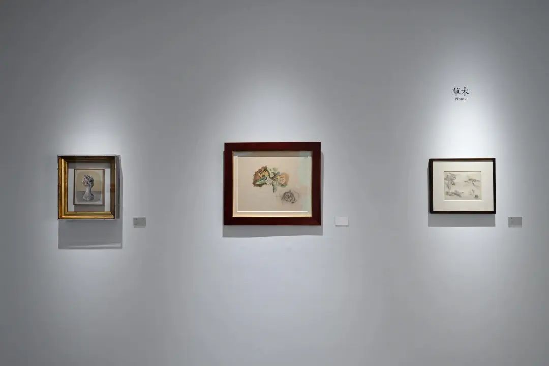 艺繁体字_繁体艺字怎么写_繁体艺字写法