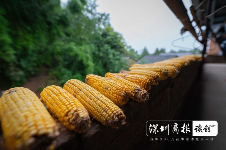 攥住_攥住_攥住