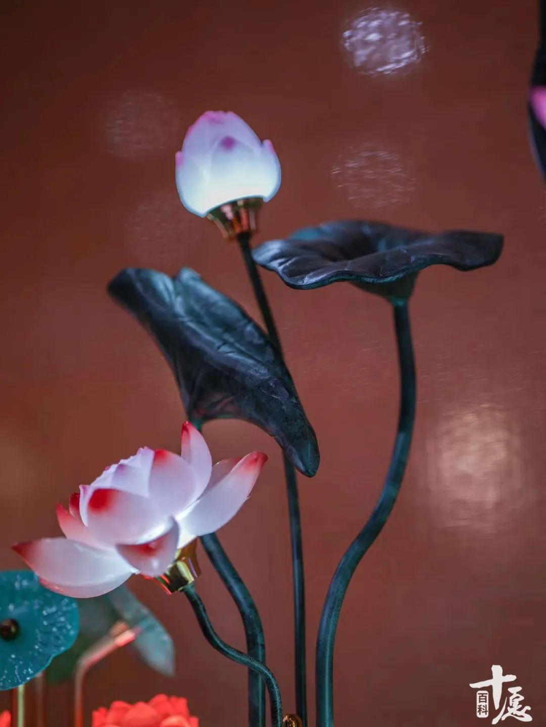 智读音_智读文化石家庄_智怎么读