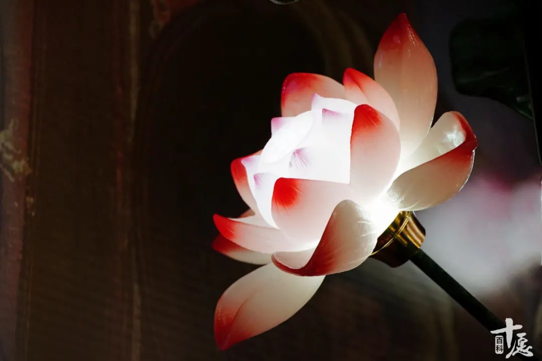 智读音_智怎么读_智读文化石家庄