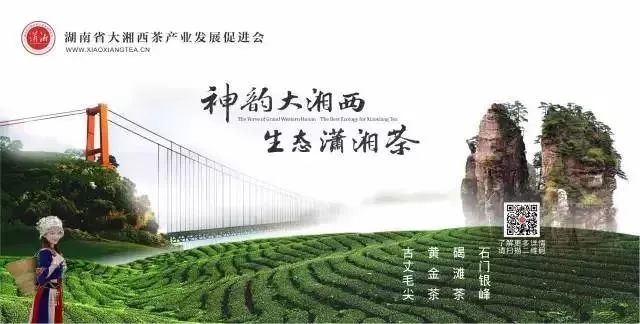琛字配什么好听的名字_琛配什么字最好女孩_琛的最佳配字