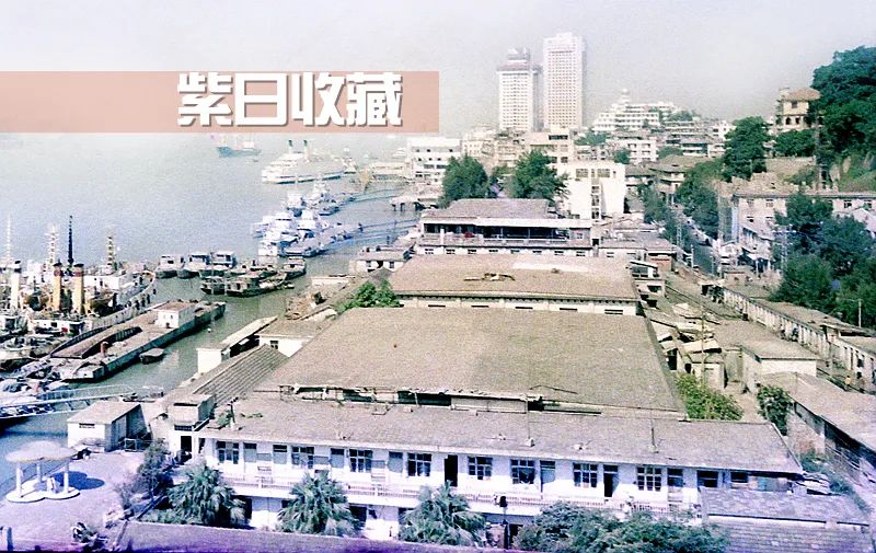 滨繁体字书法_滨繁体字怎么写的_滨的繁体字