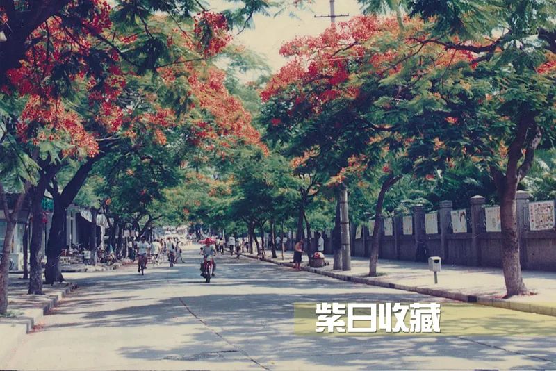 滨的繁体字_滨繁体字怎么写的_滨繁体字书法