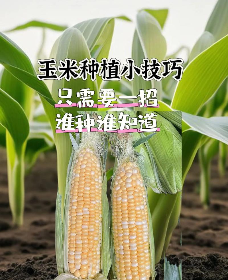 2000毫升等于多少斤_毫升等于克吗_毫升等于多少克
