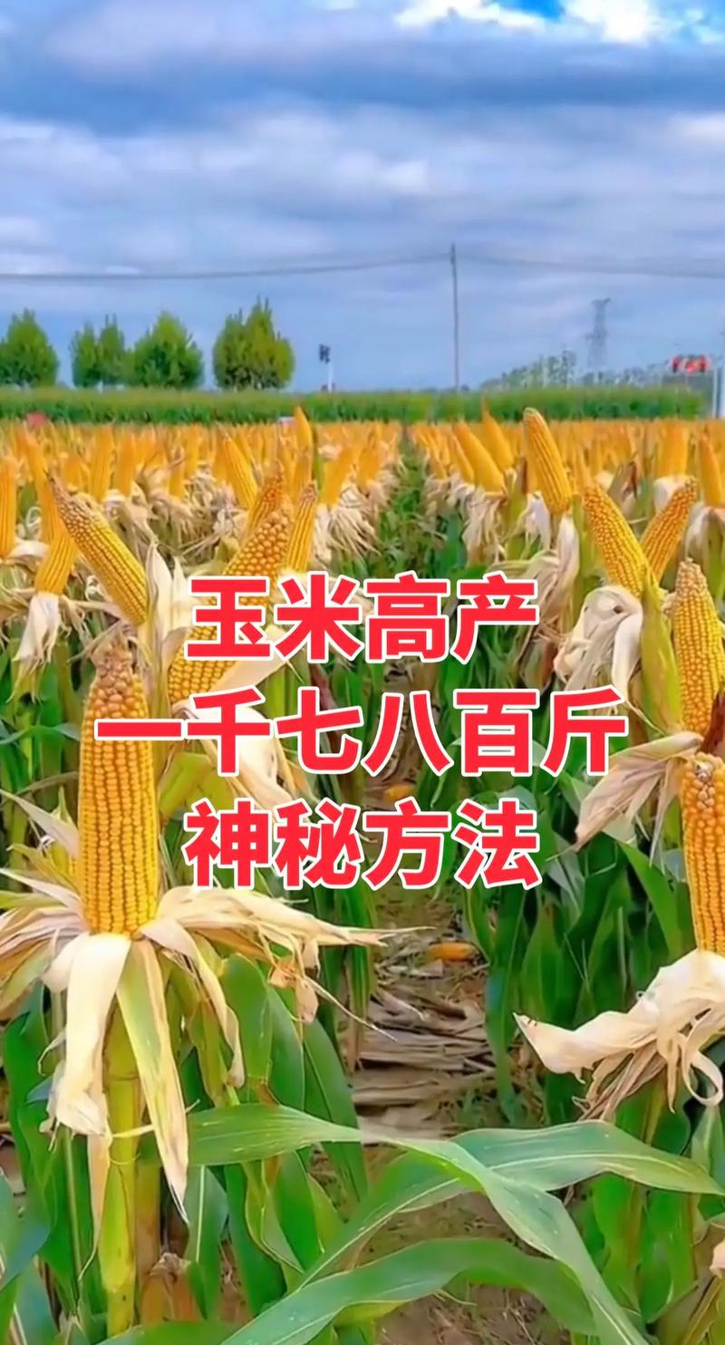 毫升等于多少克_2000毫升等于多少斤_毫升等于克吗