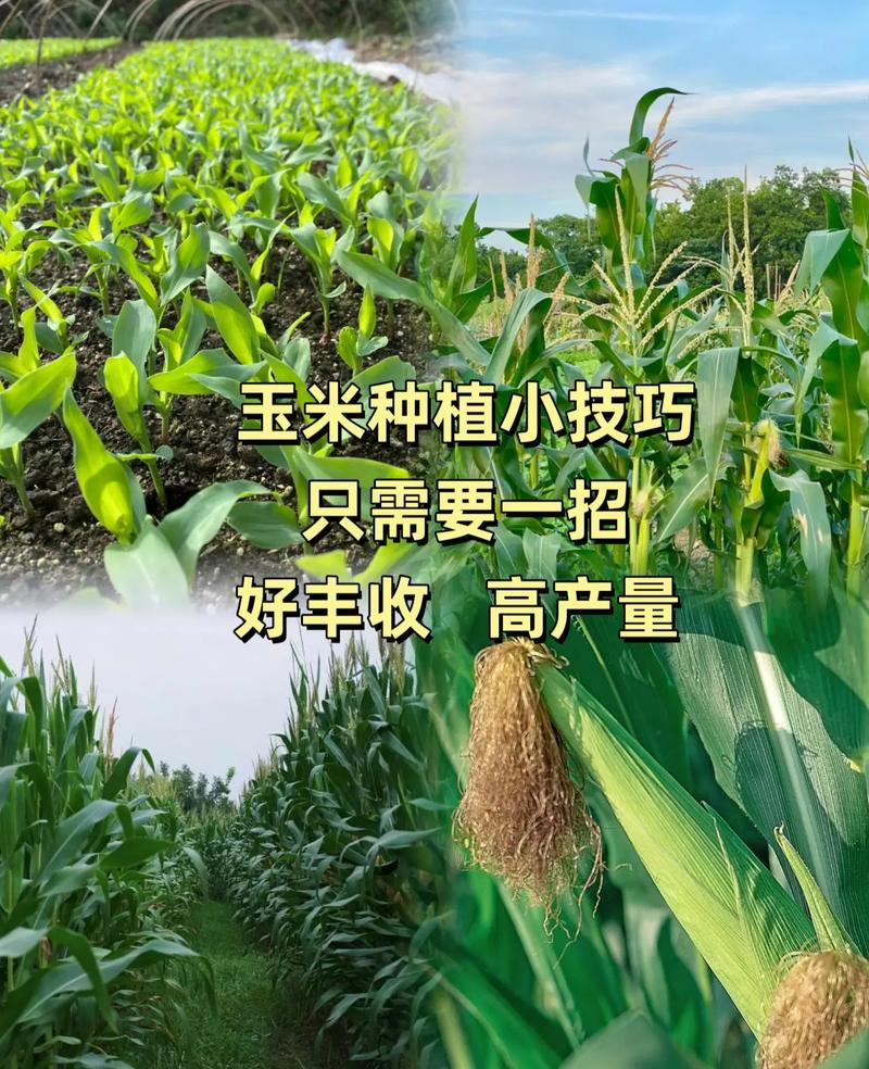 毫升等于克吗_2000毫升等于多少斤_毫升等于多少克