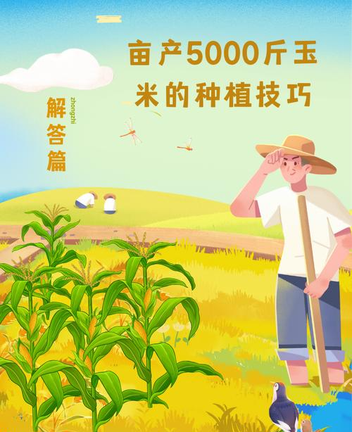 2000毫升等于多少斤_毫升等于多少克_毫升等于克吗