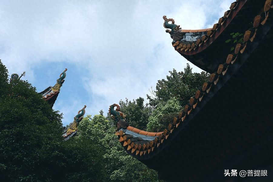 轮扁_扁组词_扁桃体发炎