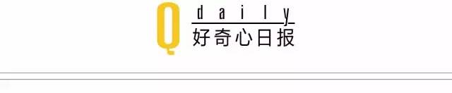 电影心理罪免费观看_心理罪电影_电影心理罪在哪里拍摄的