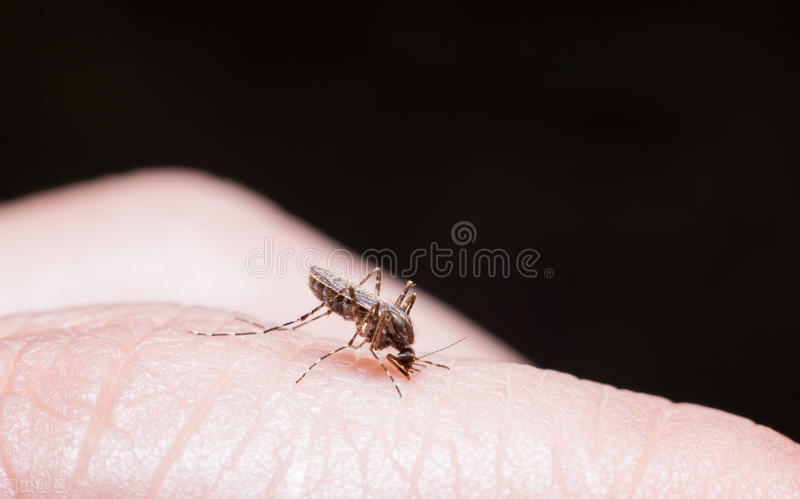氮气读什么_氮气读研最厉害三个专业_氮气怎么读