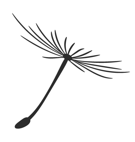 繁体儿字几画_繁体儿加耳朵旁_儿繁体