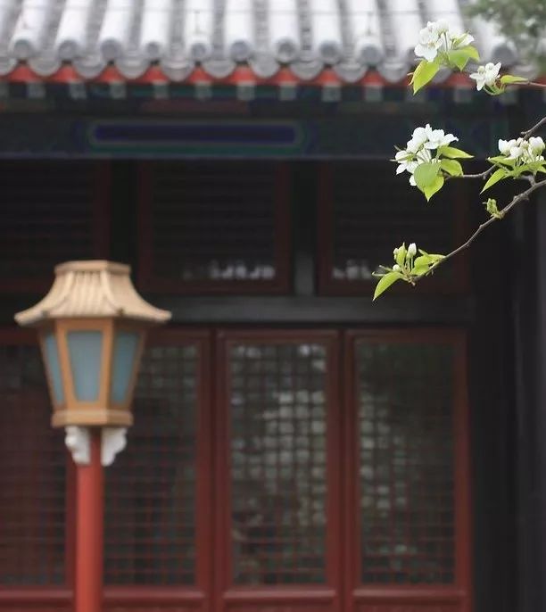 嵫_嵫怎么读_嵫阳山