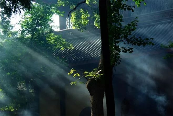 嵫阳山_嵫怎么读_嵫