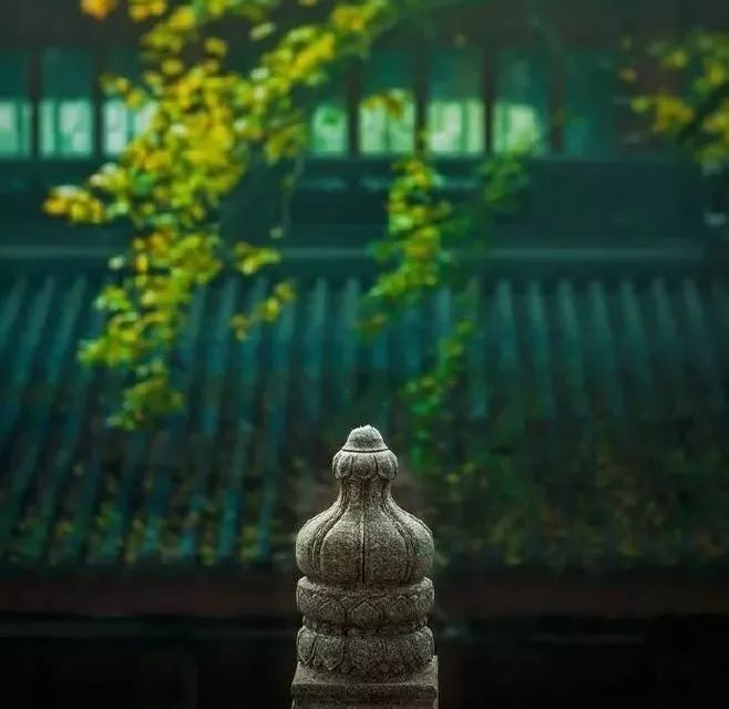 嵫怎么读_嵫阳山_嵫