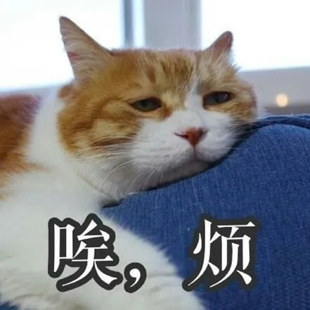 主组词_组词郎_组词主宰