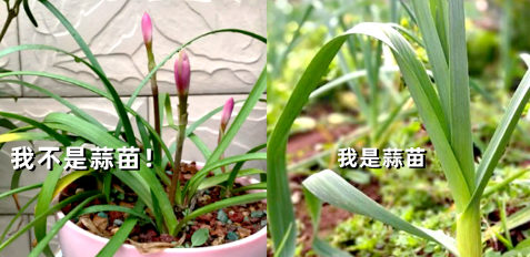 11月天气预报30天查询结果_盐城天气30天预报查询结果_长春气预报15天查询结果