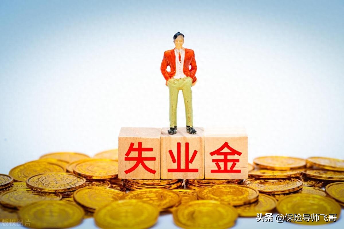 北京失业人员领取失业金_失业领取金北京怎么领_北京失业金怎么领取