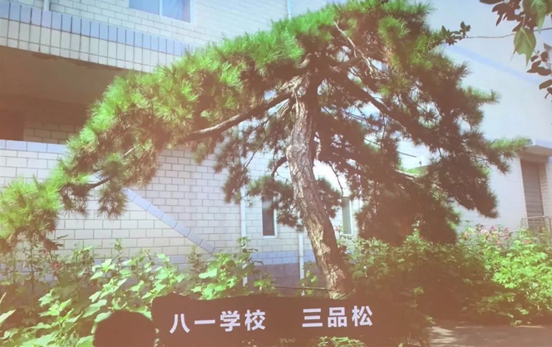 北京八一中学分校叫什么_北京市八一中学高中怎么样_北京市八一中学