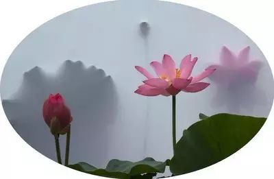 淫佚_淫佚怎么读音_淫佚怎么读什么意思