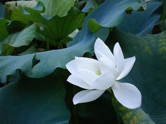 淫佚怎么读什么意思_淫佚_淫佚怎么读音