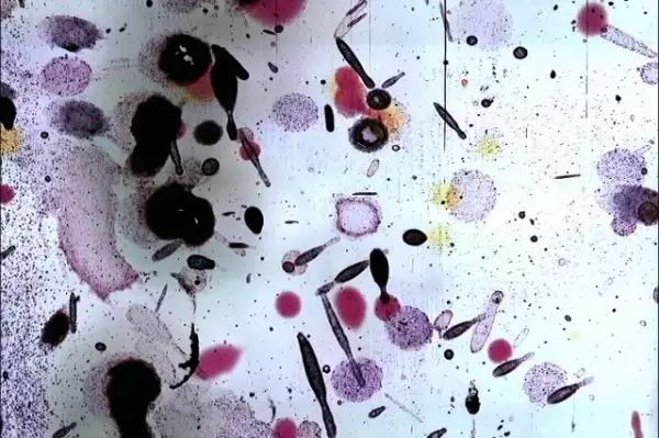 图片下载免费版_图片下载大全免费_gif图片怎么下载