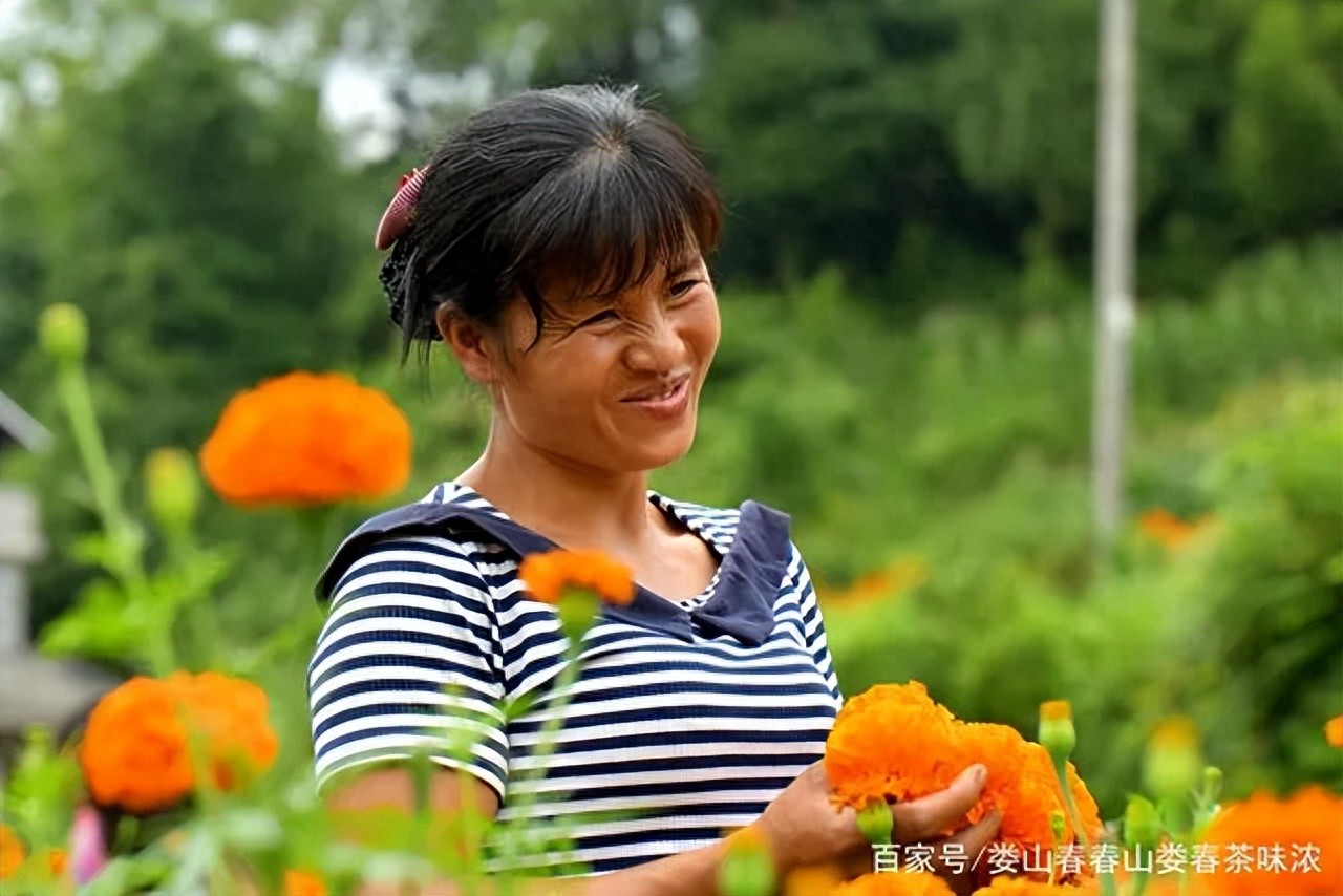 欺侮_欺侮的意思_欺侮的拼音