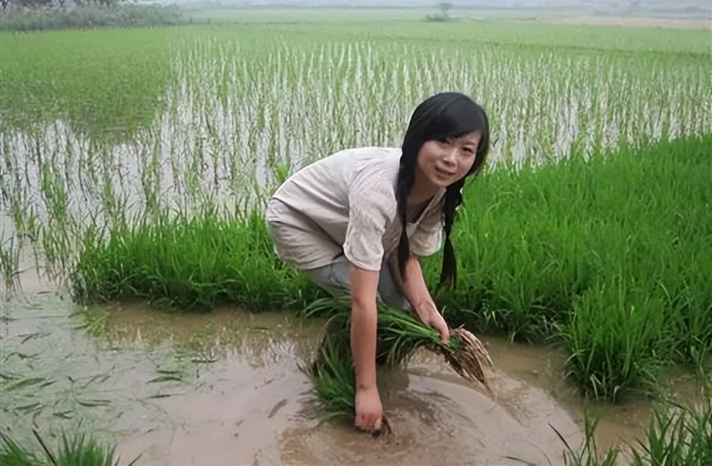 欺侮的拼音_欺侮_欺侮的意思