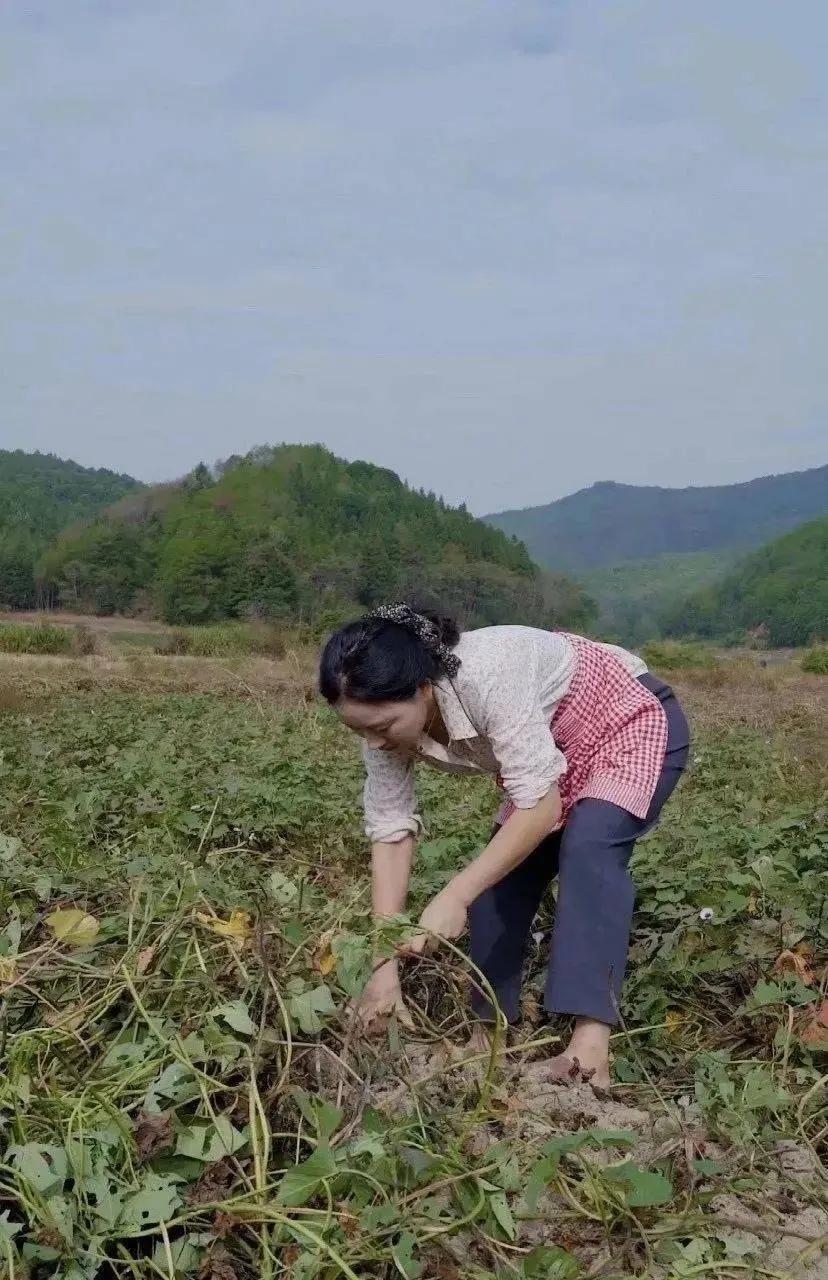 欺侮的意思_欺侮的拼音_欺侮