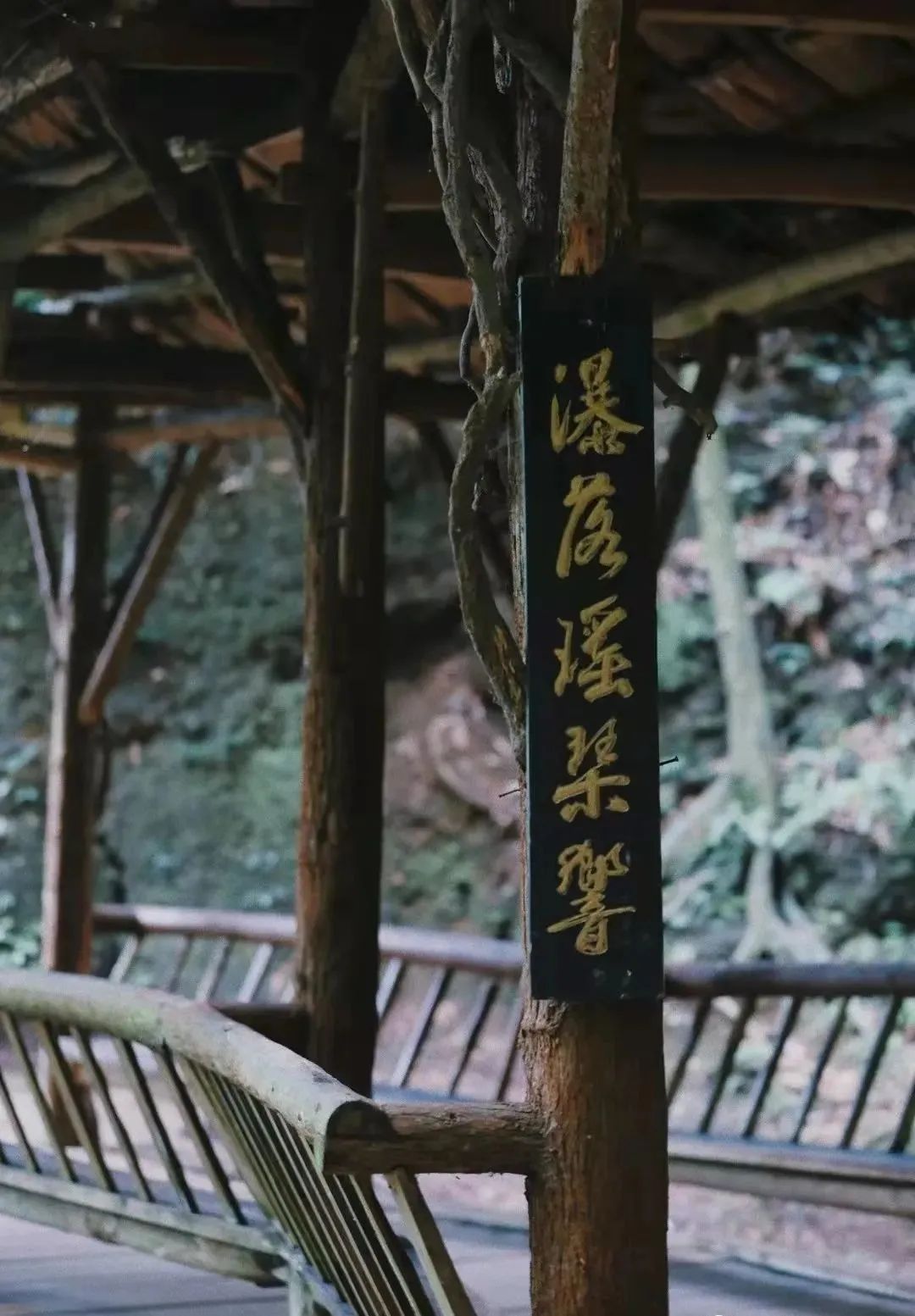 霁初_霁初这个名字怎样_霁初的寓意