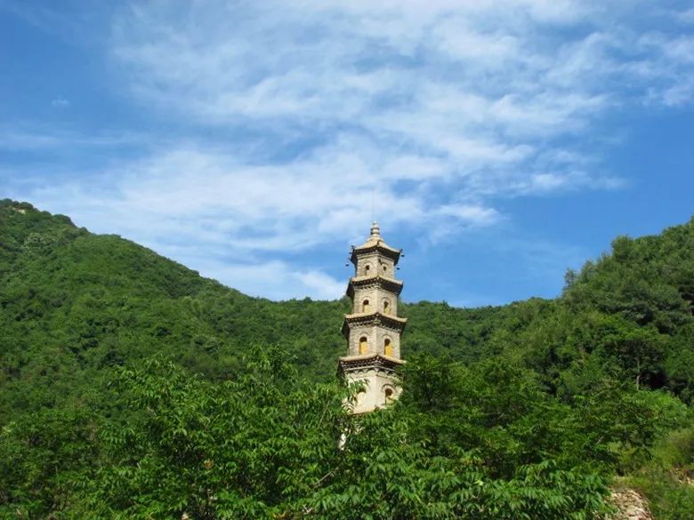 荼毗_荼毗的拼音_荼毗大典
