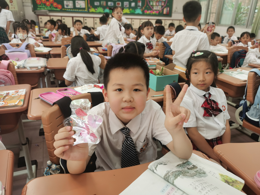 广州市外国语实验学校_广州外国语学校师资力量_广州市华颖外国语学校