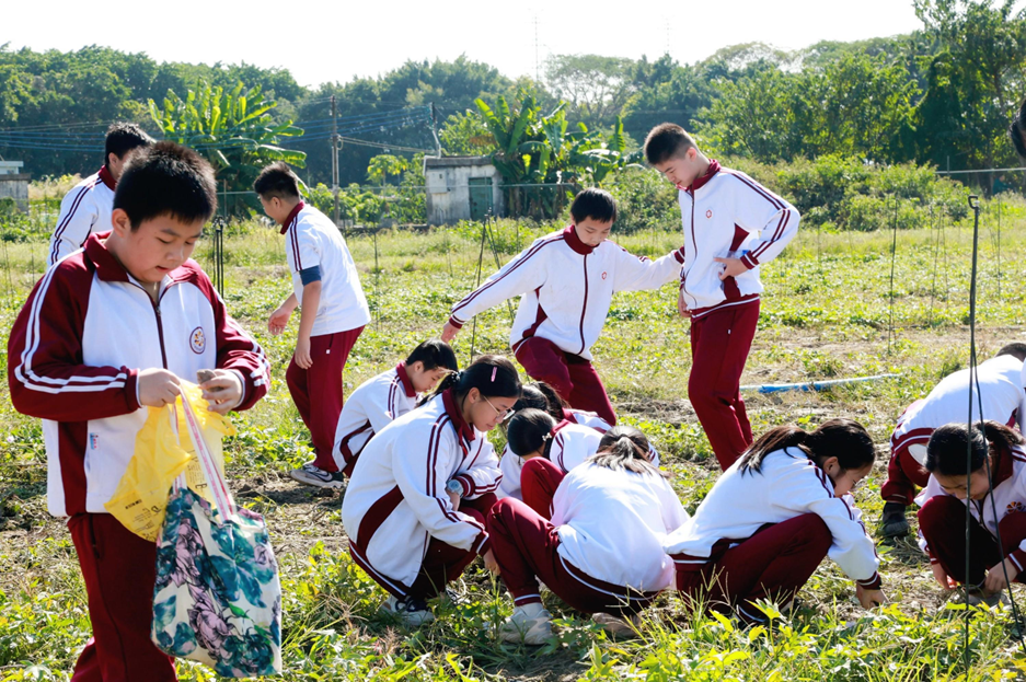 广州市华颖外国语学校_广州市外国语实验学校_广州外国语学校师资力量