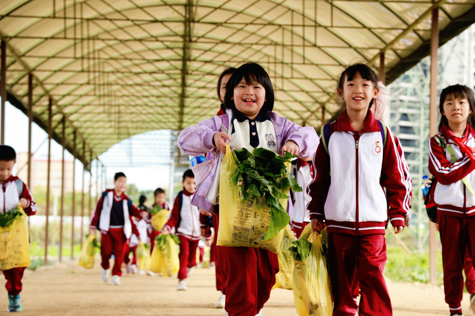 广州市华颖外国语学校_广州市外国语实验学校_广州外国语学校师资力量