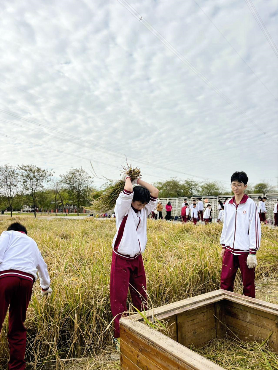 广州外国语学校师资力量_广州市外国语实验学校_广州市华颖外国语学校