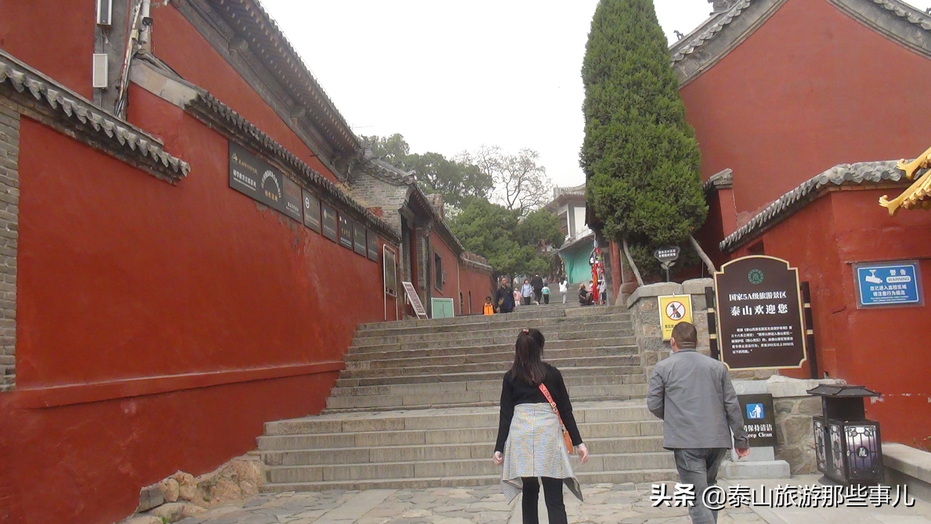 碧霞寺简介_蔡碧霞_碧霞