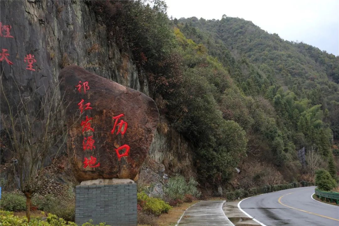 祁门红茶产地_祁门红茶之乡_祁门红茶生产厂家