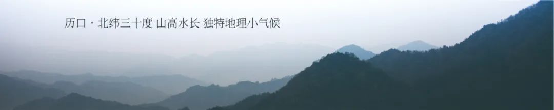 祁门红茶产地_祁门红茶生产厂家_祁门红茶之乡