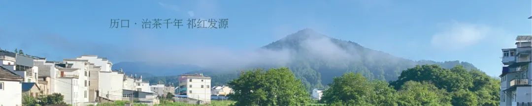 祁门红茶产地_祁门红茶生产厂家_祁门红茶之乡