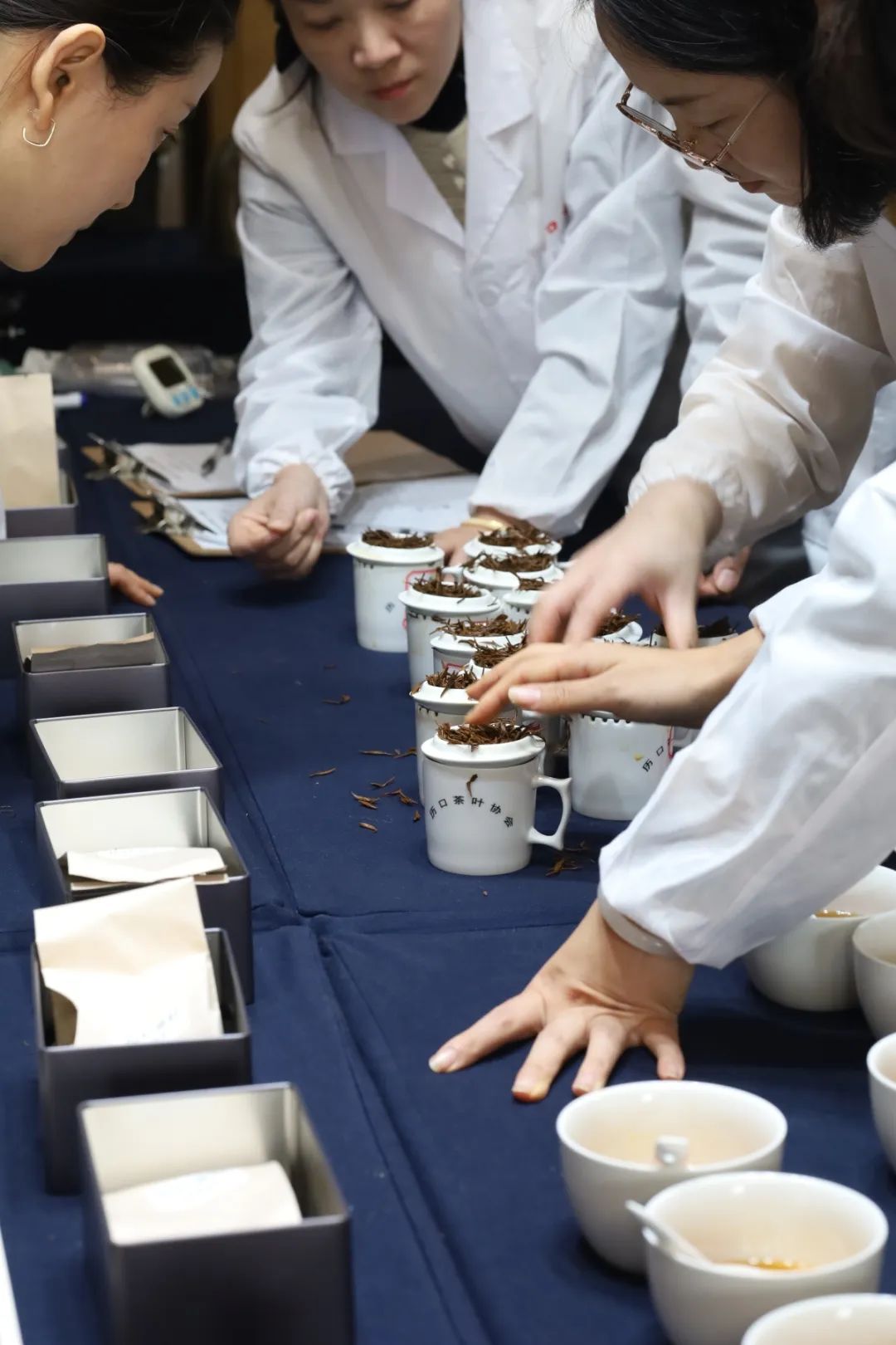 祁门红茶产地_祁门红茶生产厂家_祁门红茶之乡